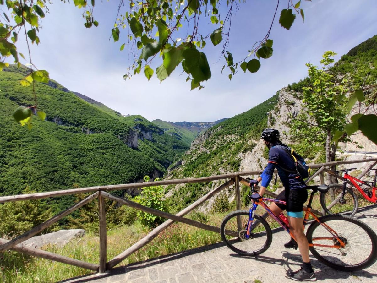 Casa Avella Mountain Retreat - Housity