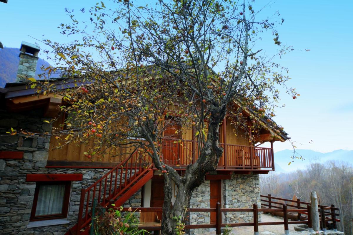 Eco Chalet Maison Dominique - Housity