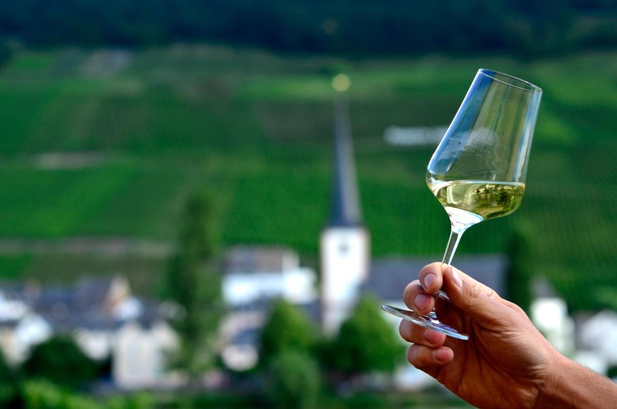 Weingut Später-Veit - Housity