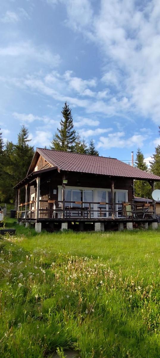 Casuta Schiorului - Housity