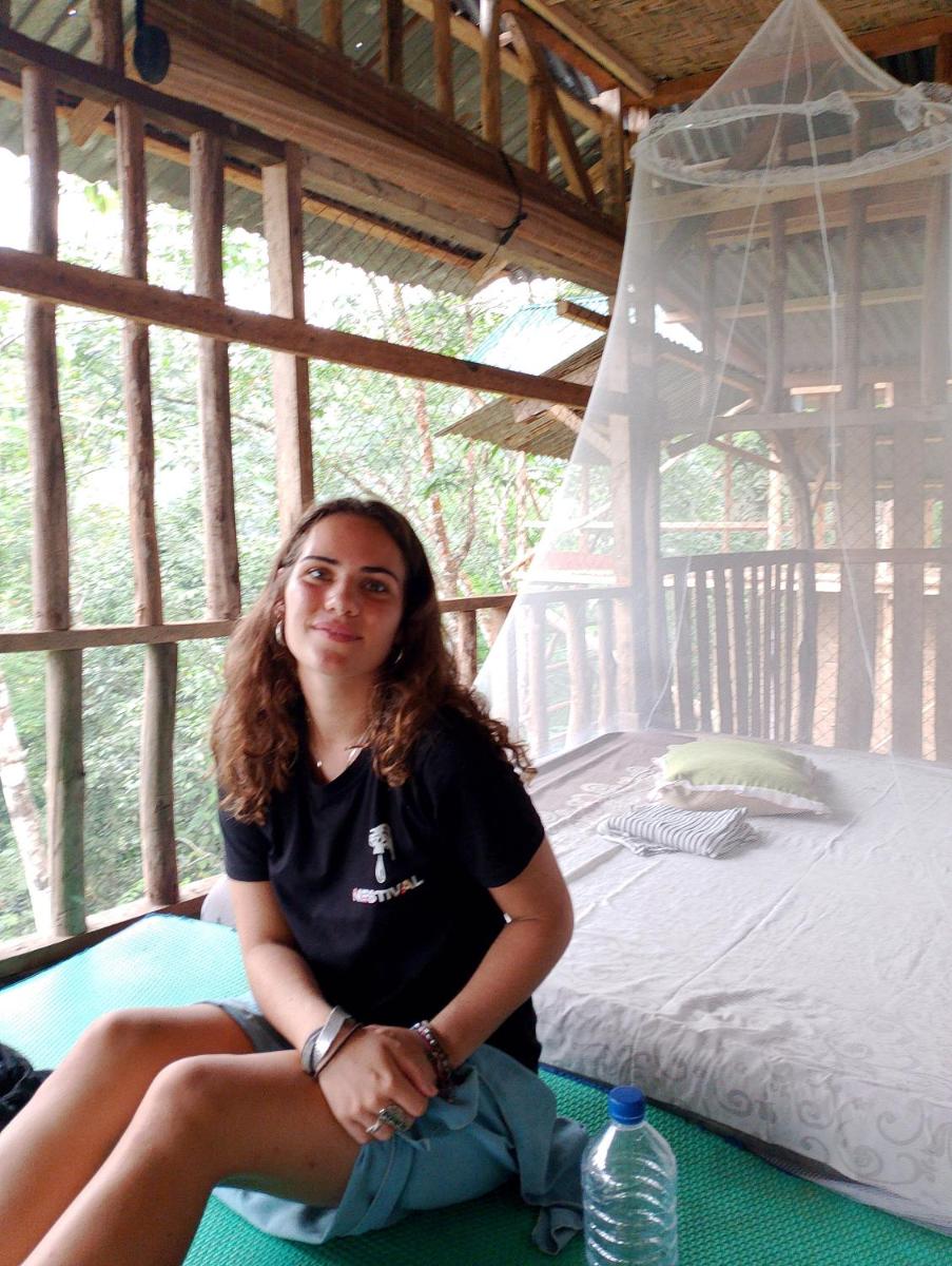 ORANGUTANTREKSUMATRA & LOVELY JUNGLE LODGE only book IF you are treking with us - Housity
