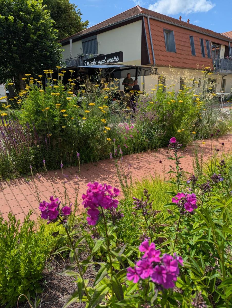 Ferienwohnungen - barrierefrei - im sanierten Gutshof - Housity
