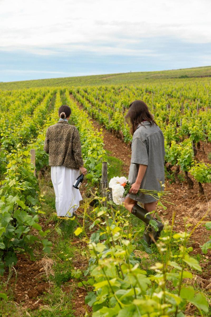 Clients de l'établissement Bellevigne Bourgogne