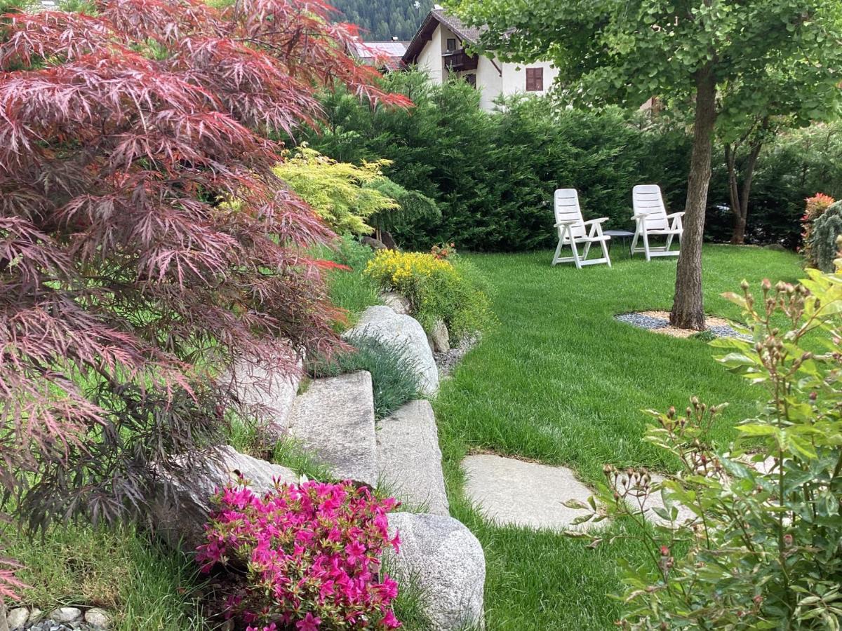B&b Villa Paradiso - Housity