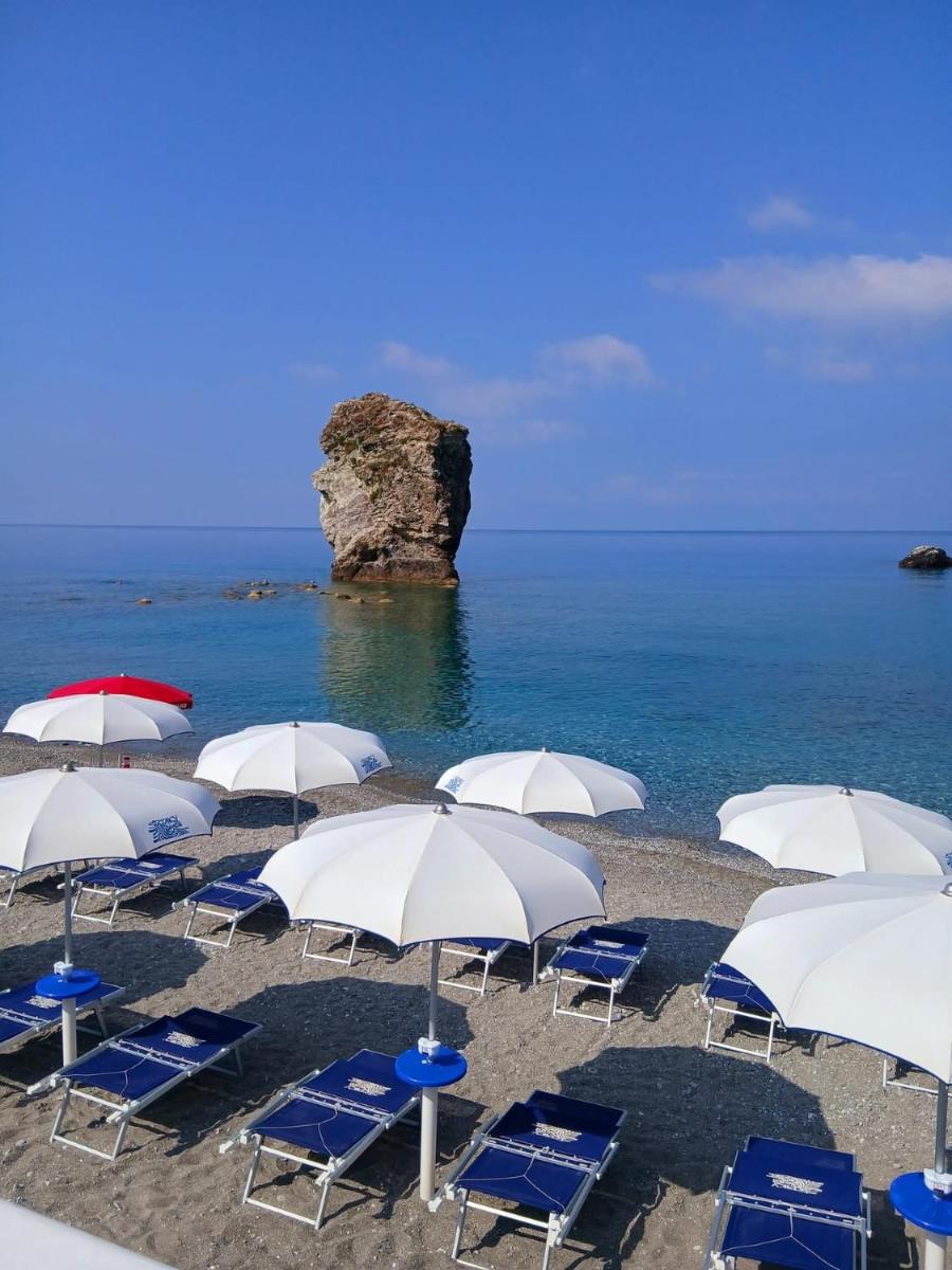 Hotel Le Mimose - Housity