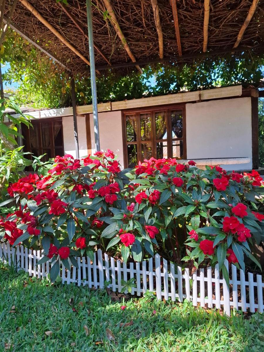 cabañas de Apaneca - Housity