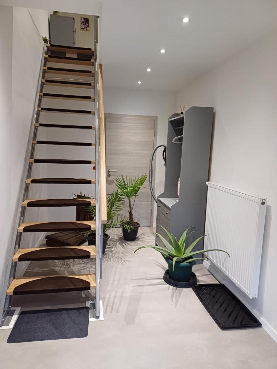 Ferienwohnung Krokus - Housity