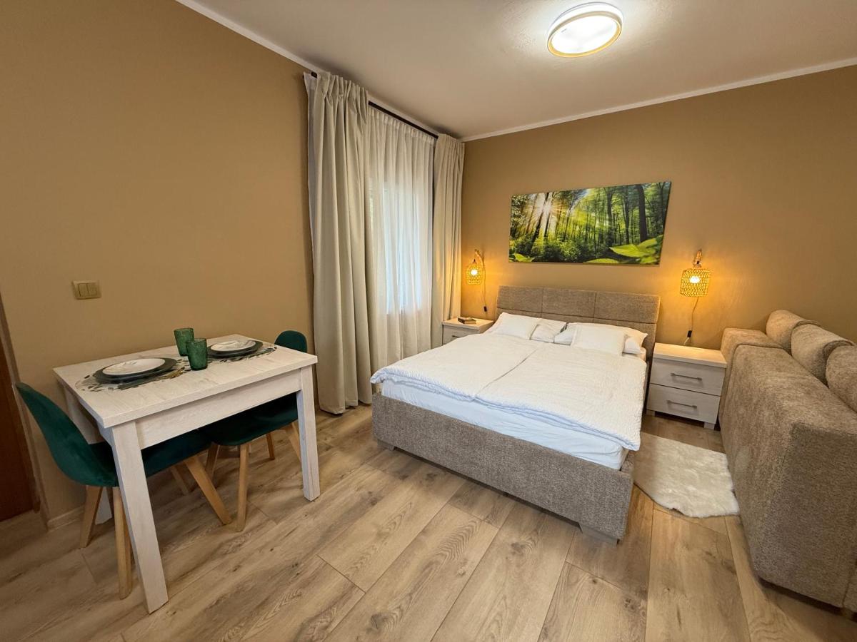 Olszyna Pod Brzozą - Housity