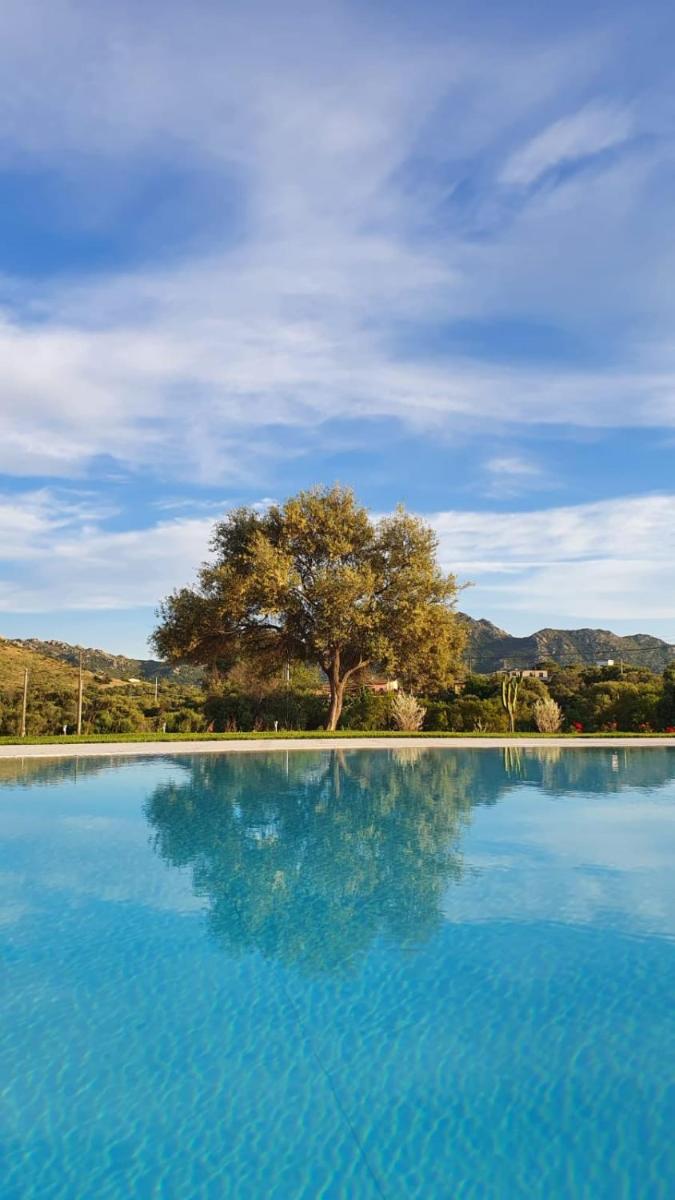 Casa S'Ozastro - Housity