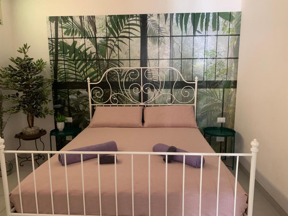 BALATA home - Housity