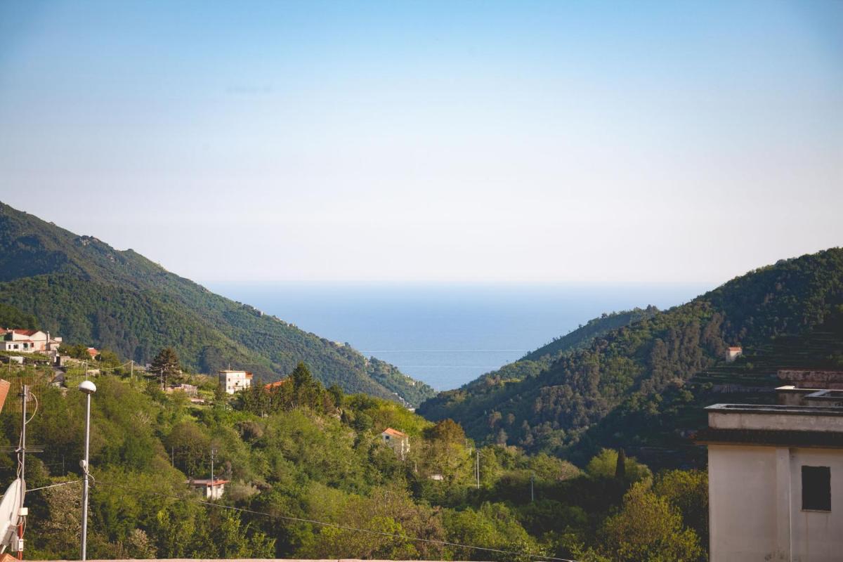 Villa Citarella - Housity
