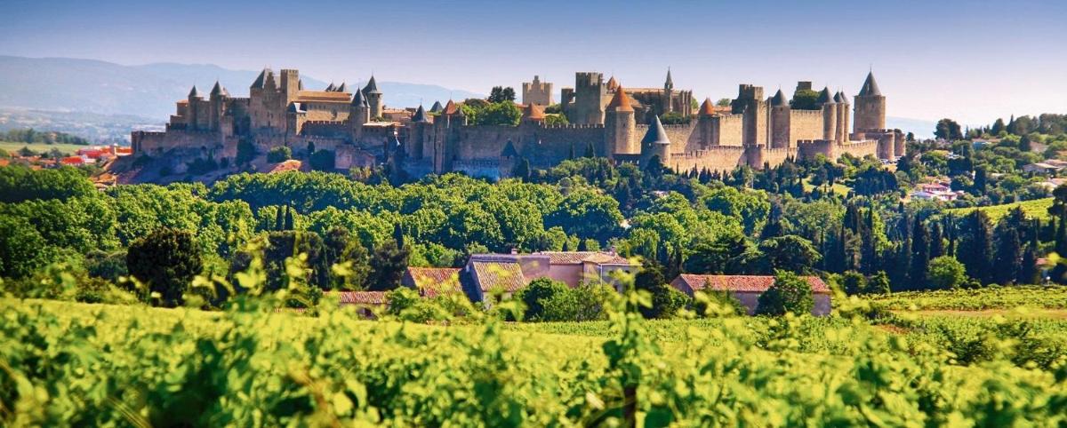 Domaine du BaRon - Housity