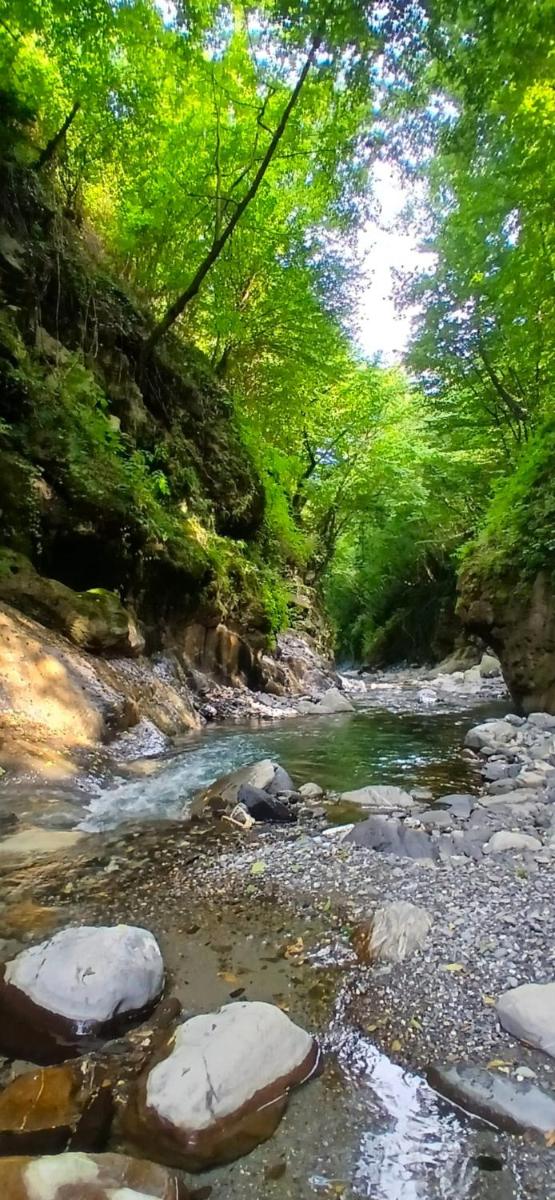 Casa Castagno e Ruscello - Nature Retreat in Liguria - Housity