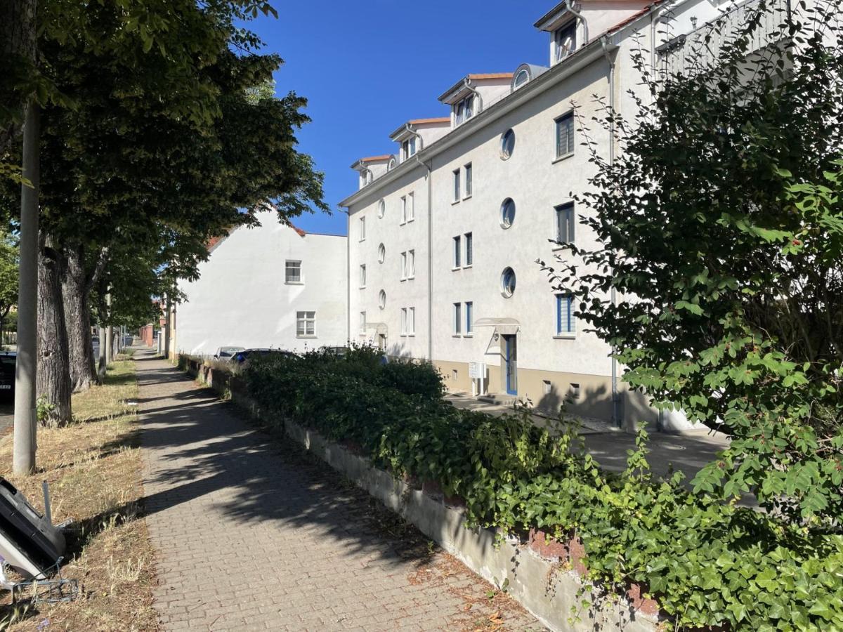 Moderne Fewo mit Balkon und Parkplatz - salt apartments - Housity