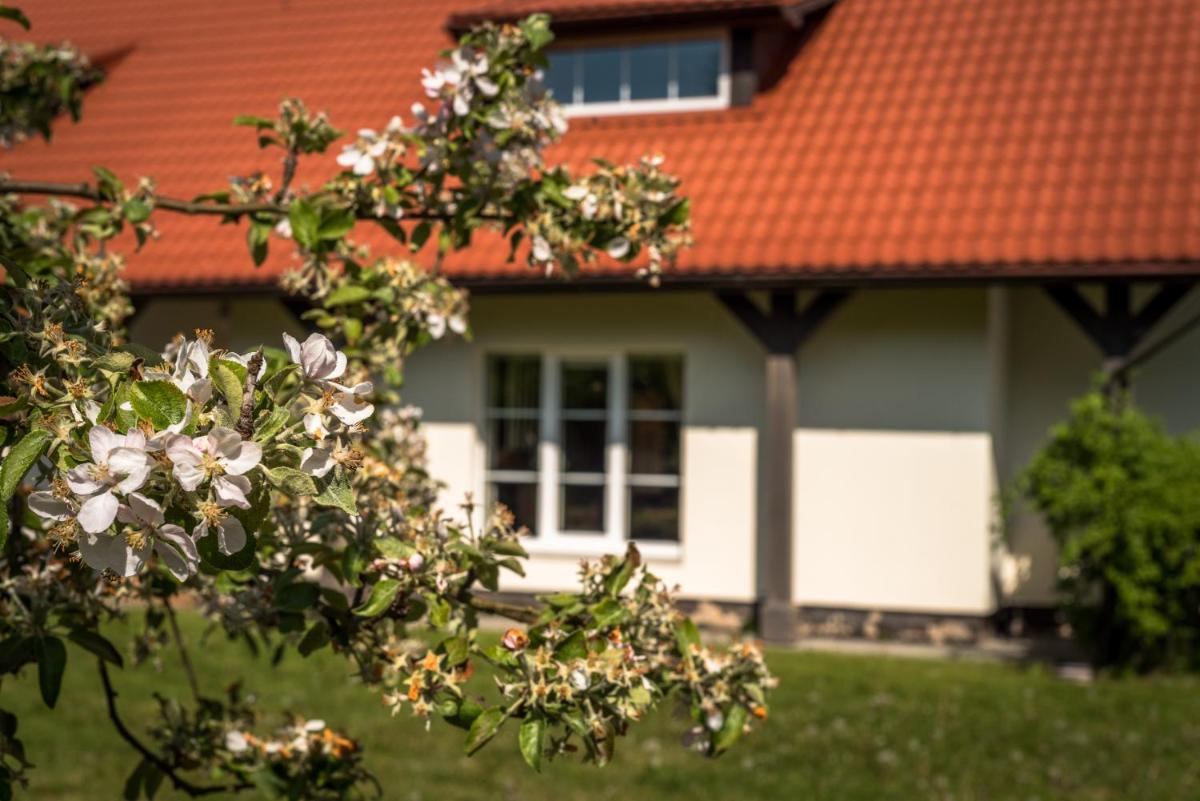 Karklės Villa - Prie Jūros - Housity