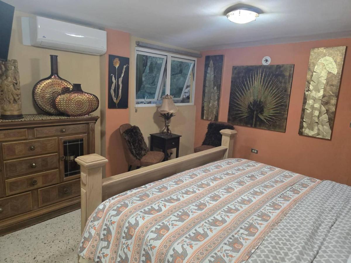 Exotic Paradise Guest House - Housity