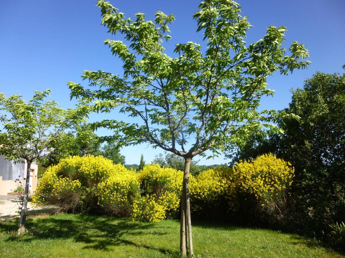 Villa Le Tournesol ADULT ONLY - Housity