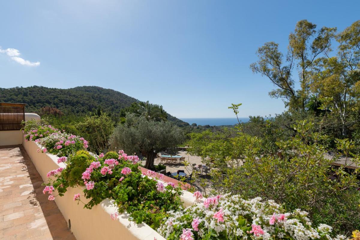 Paisaje cerca de este hotel