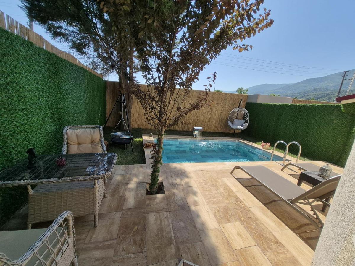 ALEX VİLLAGE LİFE - Housity