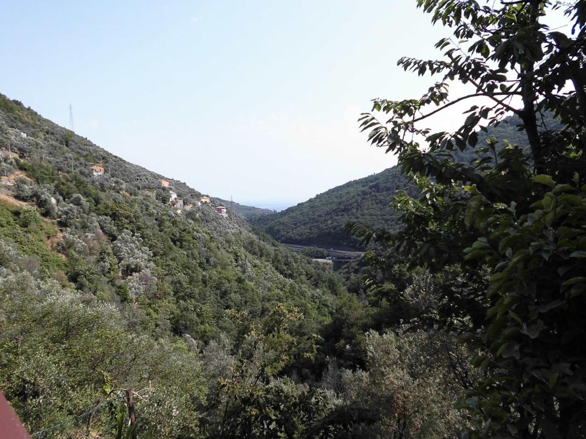 La Margherita di Teriasca - Housity