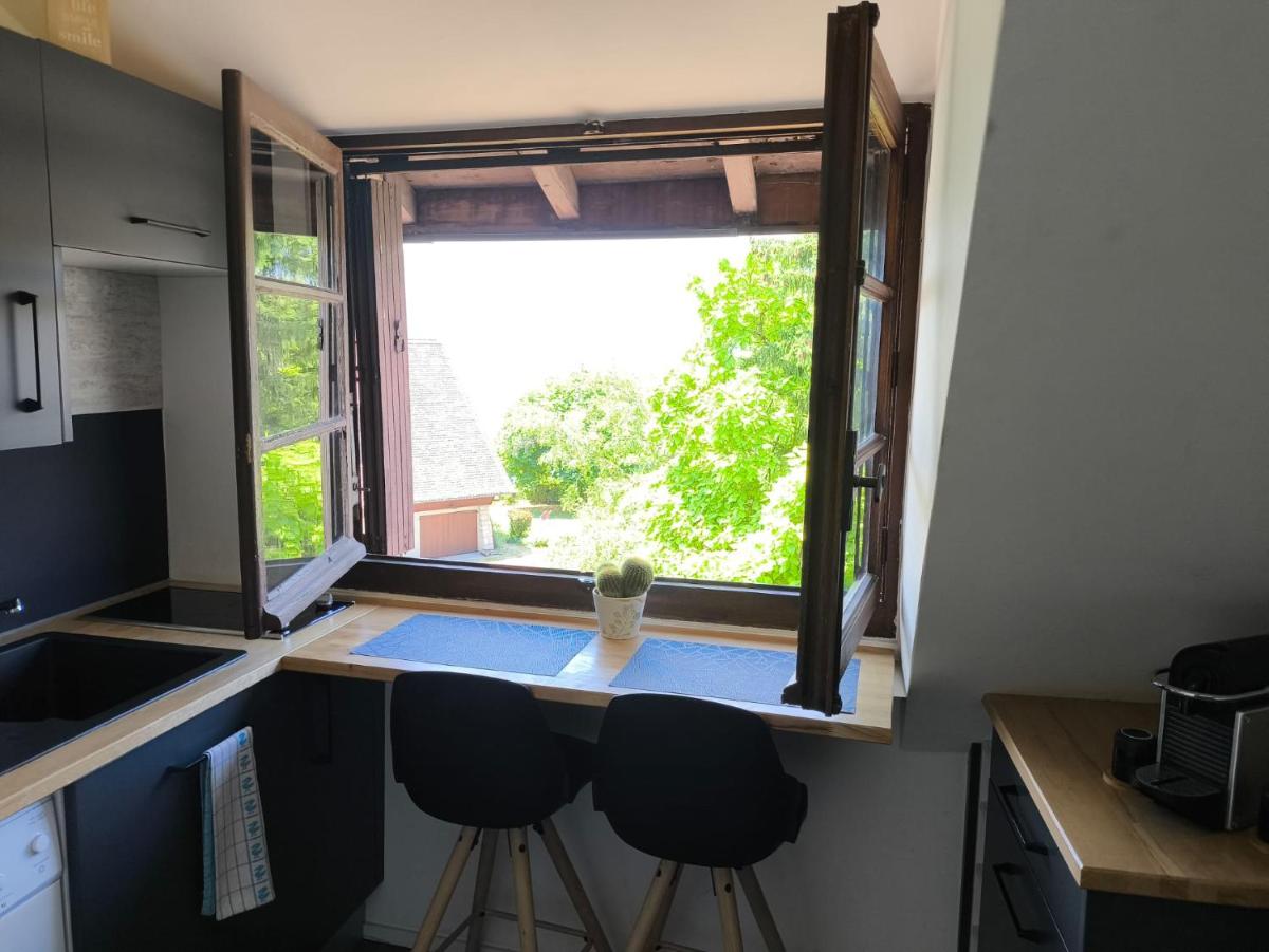 Petit studio vue lac / La Talloirdaze - Housity