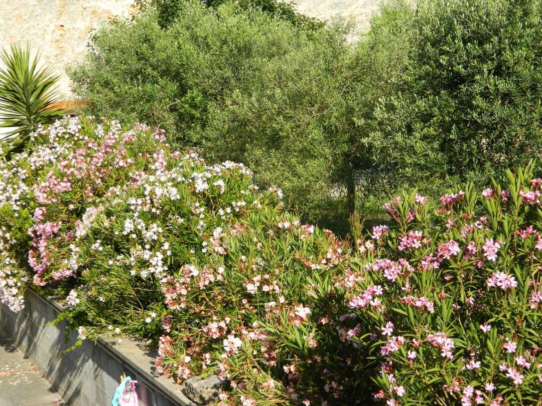 Suitetrails - Casa angelino