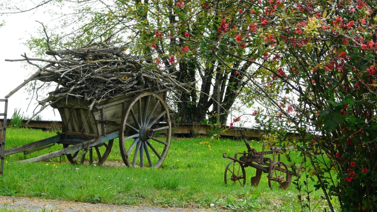Jardin de l'établissement Domaine de Janis & Spa