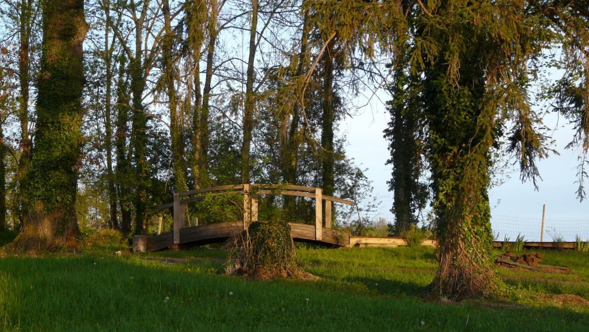 Paysage naturel près de l'hôtel