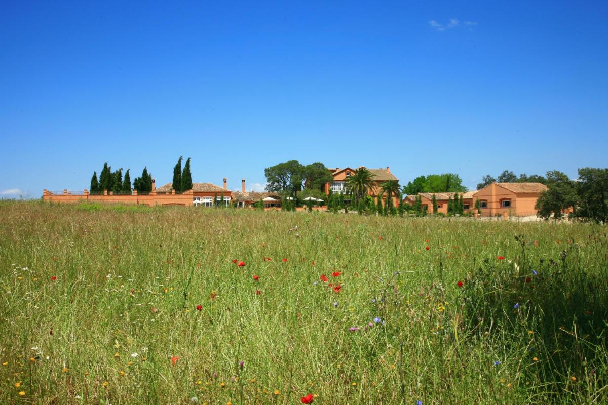 Paisaje cerca de este hotel