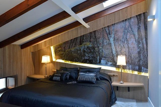 Cama o camas de una habitación en Hotel Las Treixas