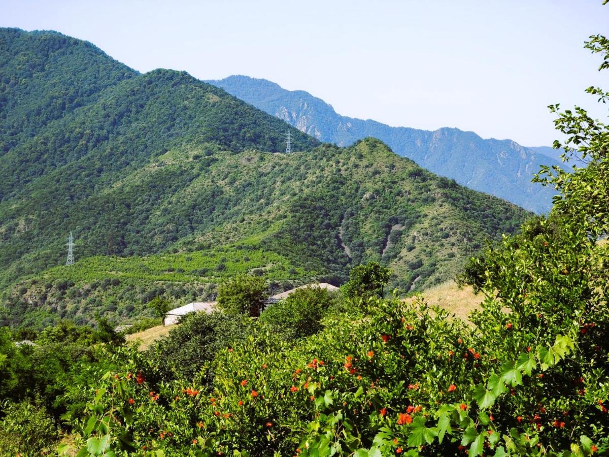 Green Camp eco-rural and civil society tourism center - Housity