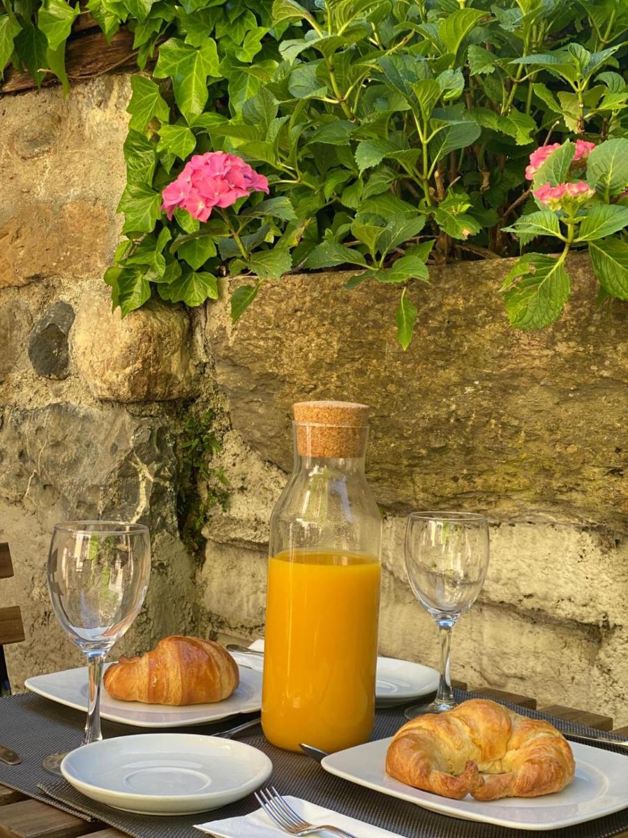 Hotel Casa Socotor - Housity