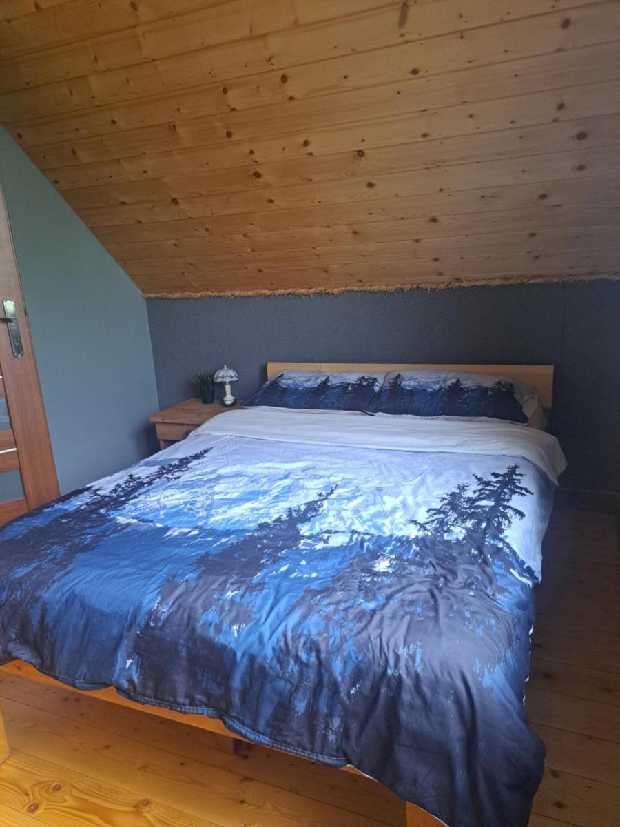 Świerkowy Zakątek u Bacy - Housity