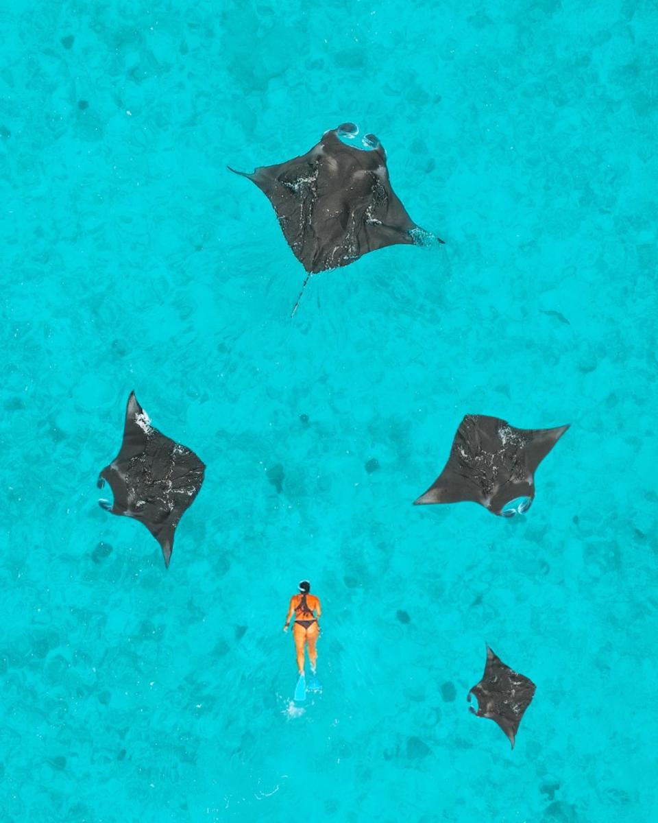 Reethi Beach Resort - Housity