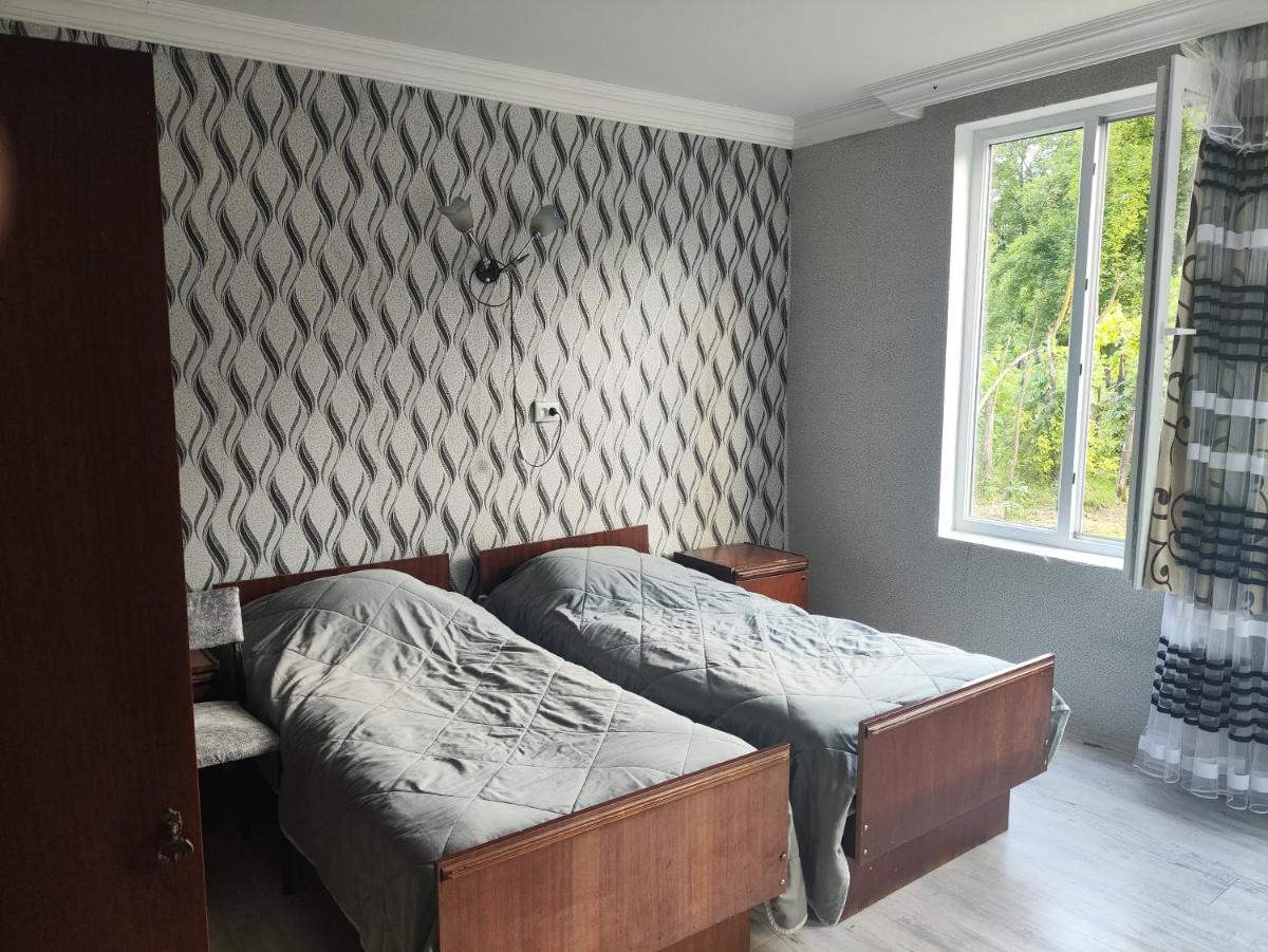 9 Plus - Orbeli - Housity