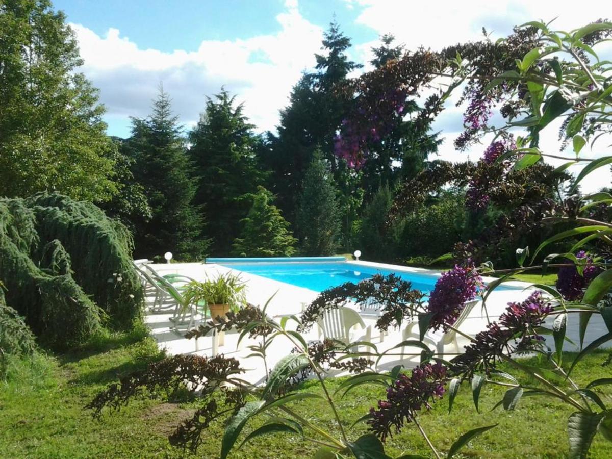 Maison rénovée avec piscine et jardin à Moulins - FR-1-489-324 - Hizvo