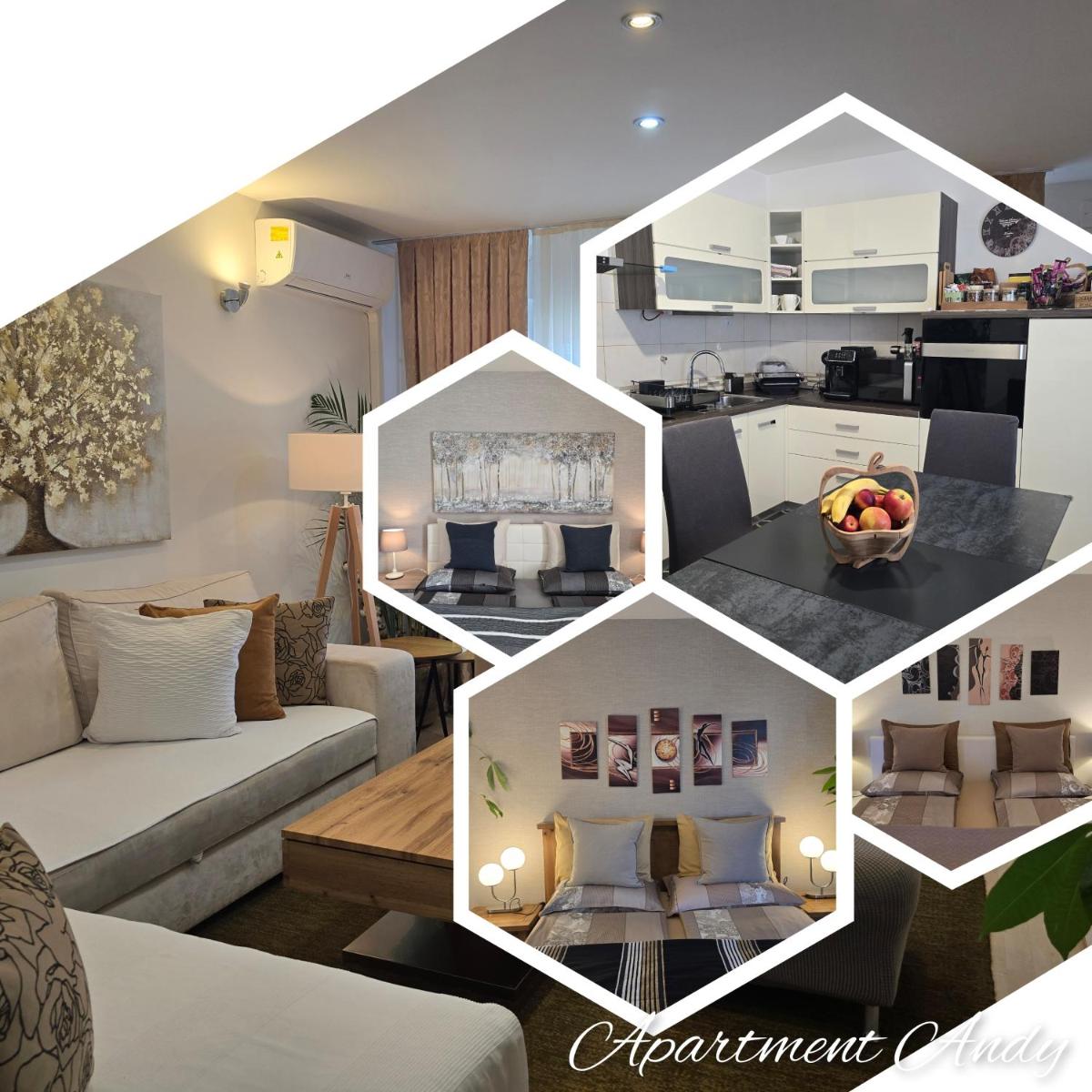 Apartment Andy - Housity