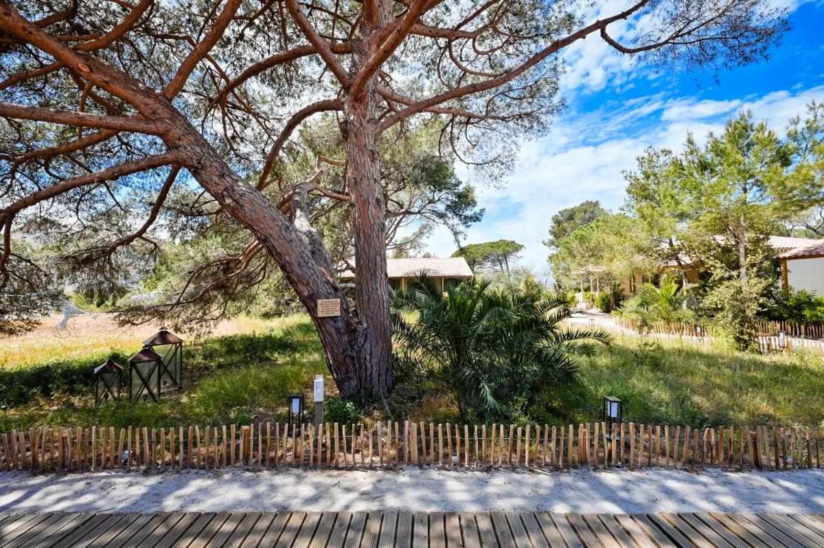 Jardin de l'établissement Le Hameau Des Pesquiers Ecolodge & Spa, Curio Collection By Hilton