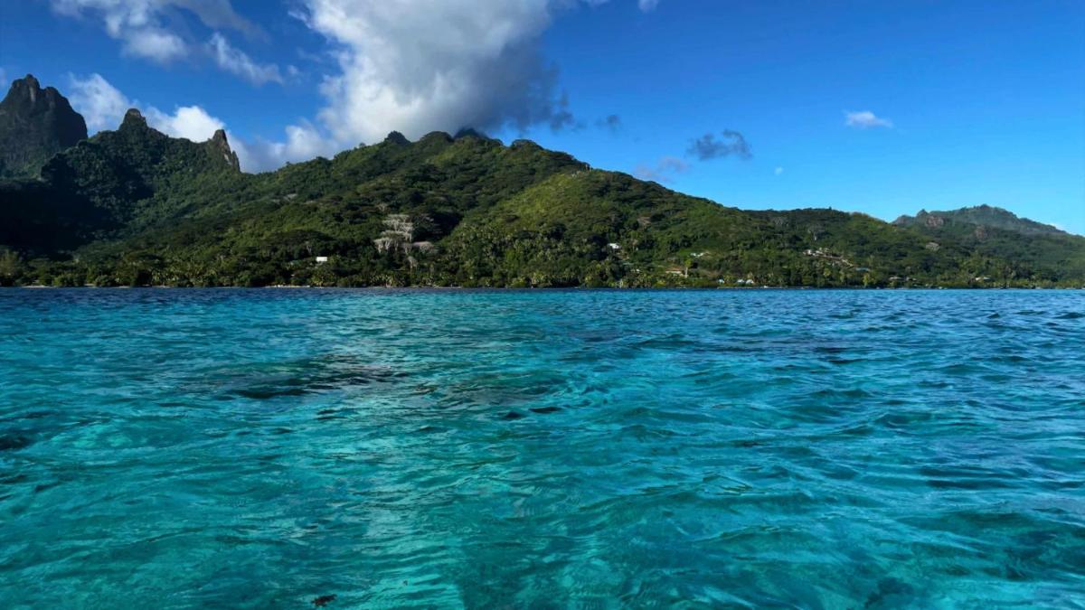 MOOREA - Bungalow Nauhei Surf Spot 1 - Housity