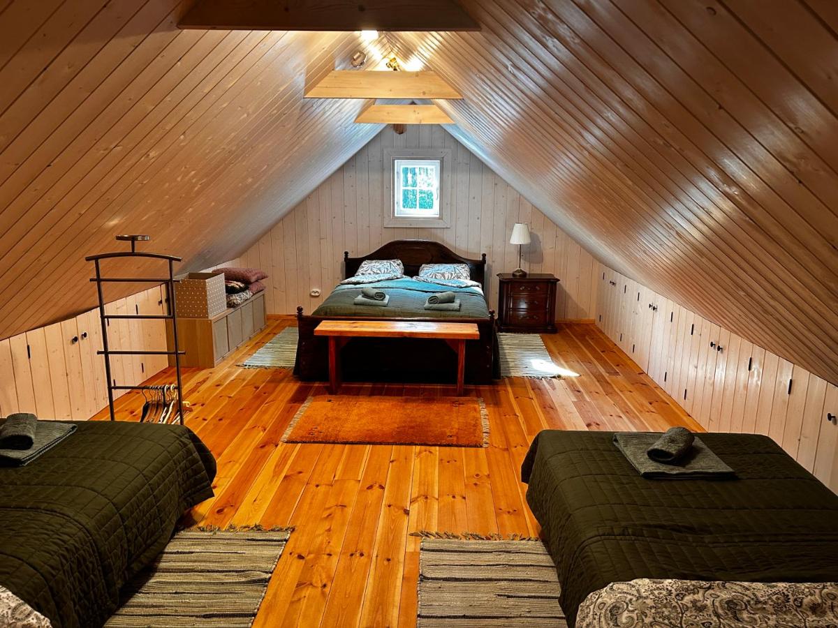 Rustic Guesthouse in Pine Forest - Housity