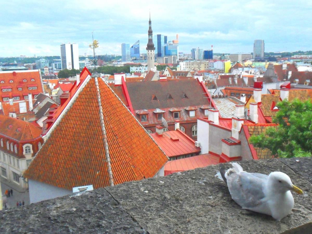 Suitetrails - Park Apartment Tallinn