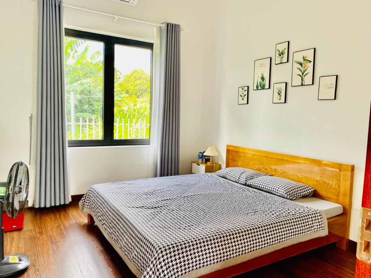 LaLi Home - Hizvo