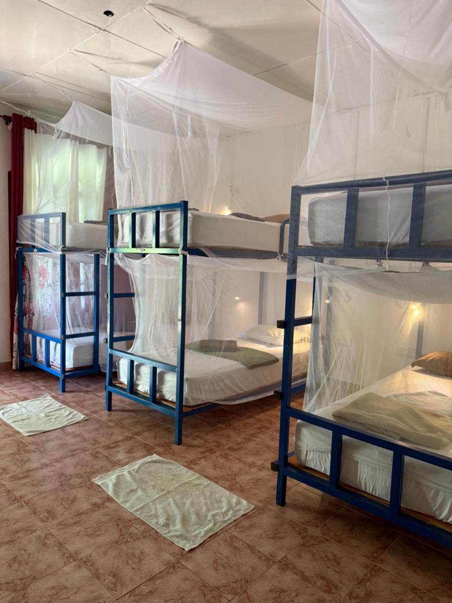 Hive Ella - Hostel - Housity