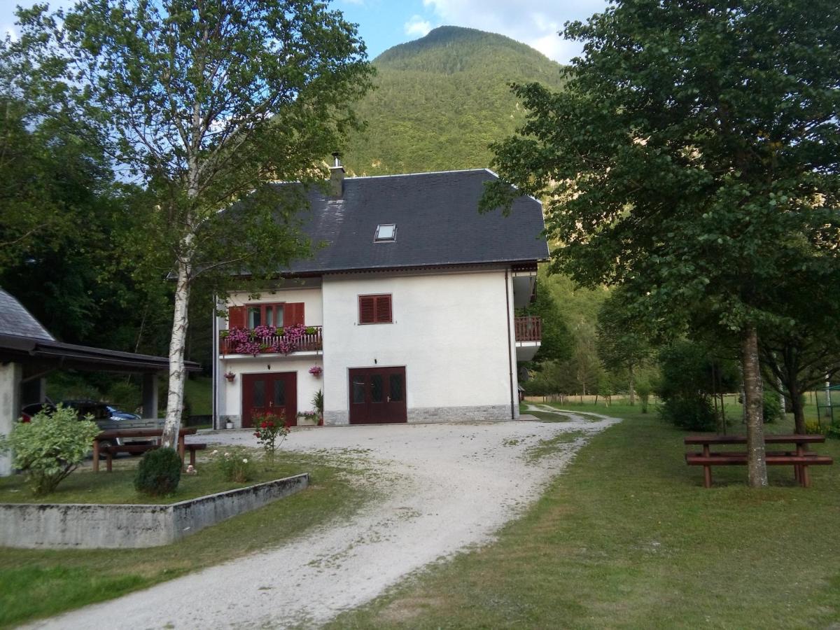 Apartment Joži - Housity