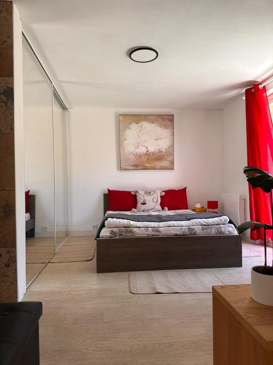 Loft sympa à Sassenage - Housity