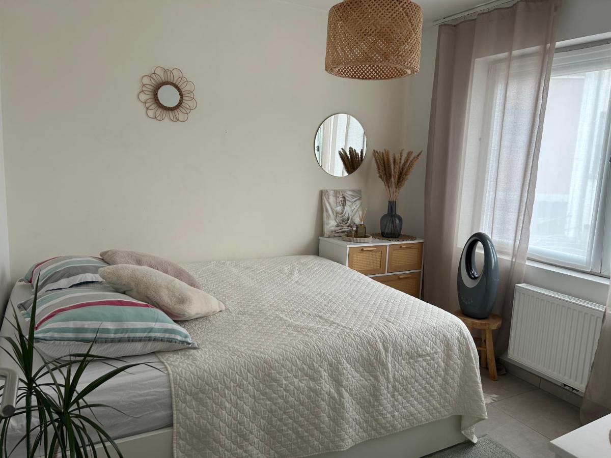 Vintage dream - Housity