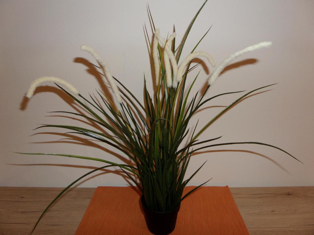 Apartment Nepomuk - Housity