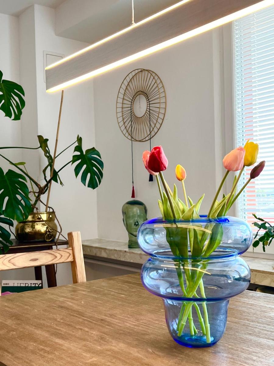 Exclusive Design Loft 60m2 whole Apartment in the center of Cracow with a view! - Housity