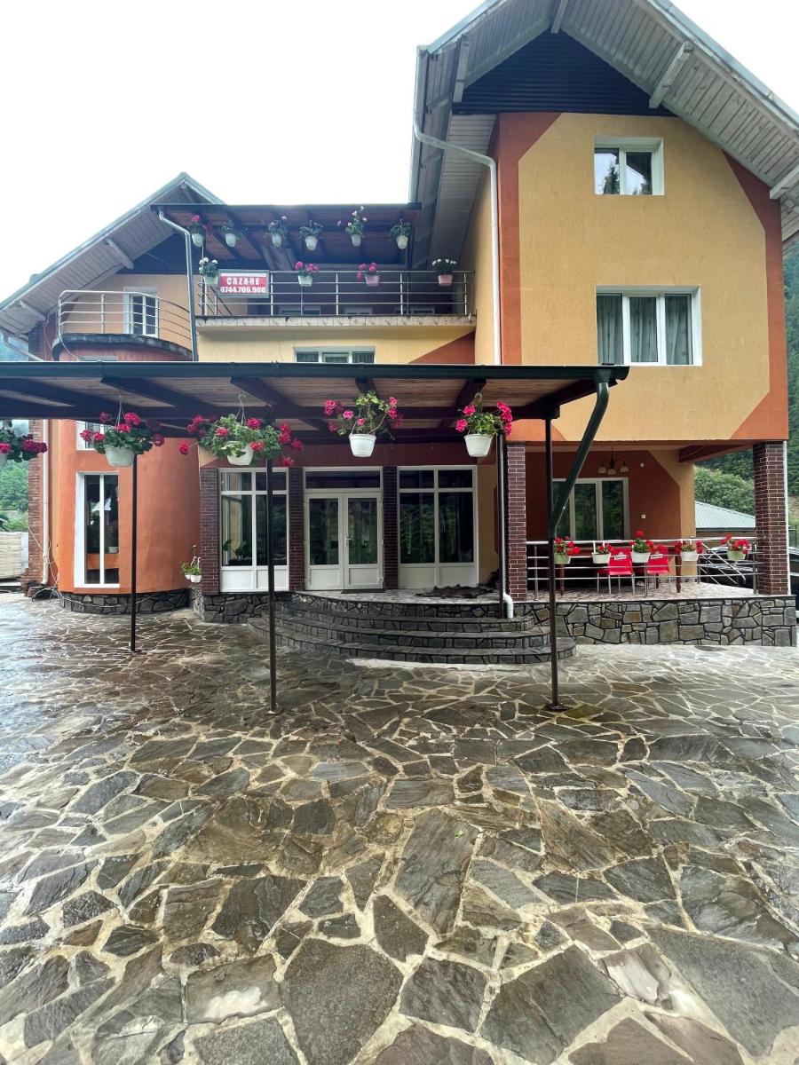 Pensiunea Pe drumuri de munte - Housity