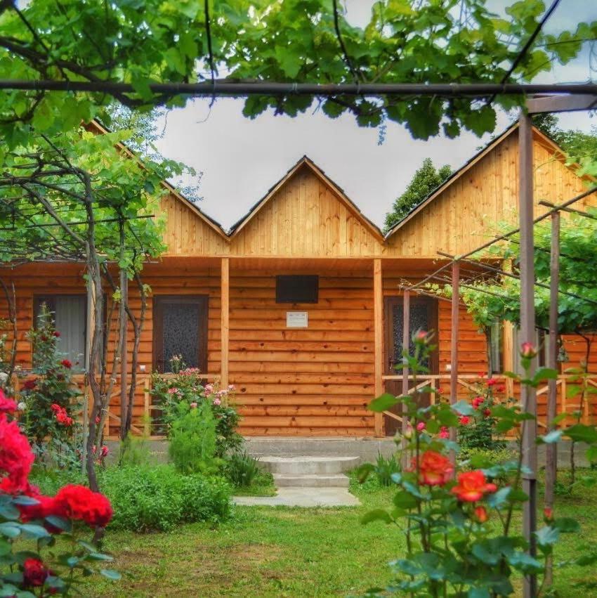 SHODA - Housity